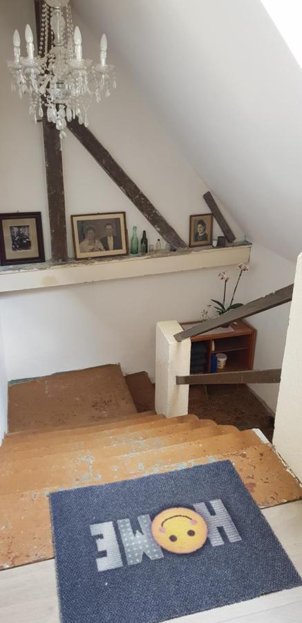 Ferienwohnung Salamander Pirna Bagian luar foto