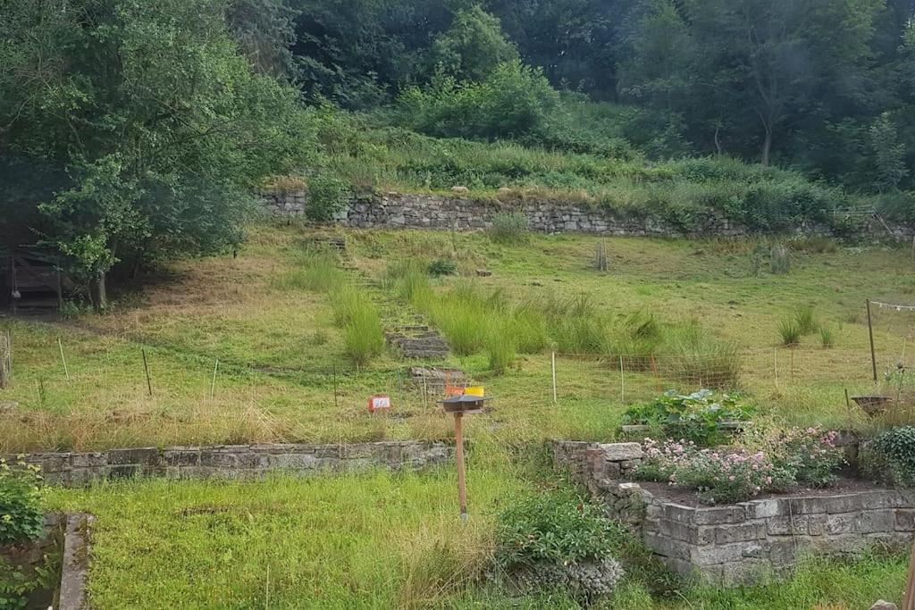 Ferienwohnung Salamander Pirna Bagian luar foto