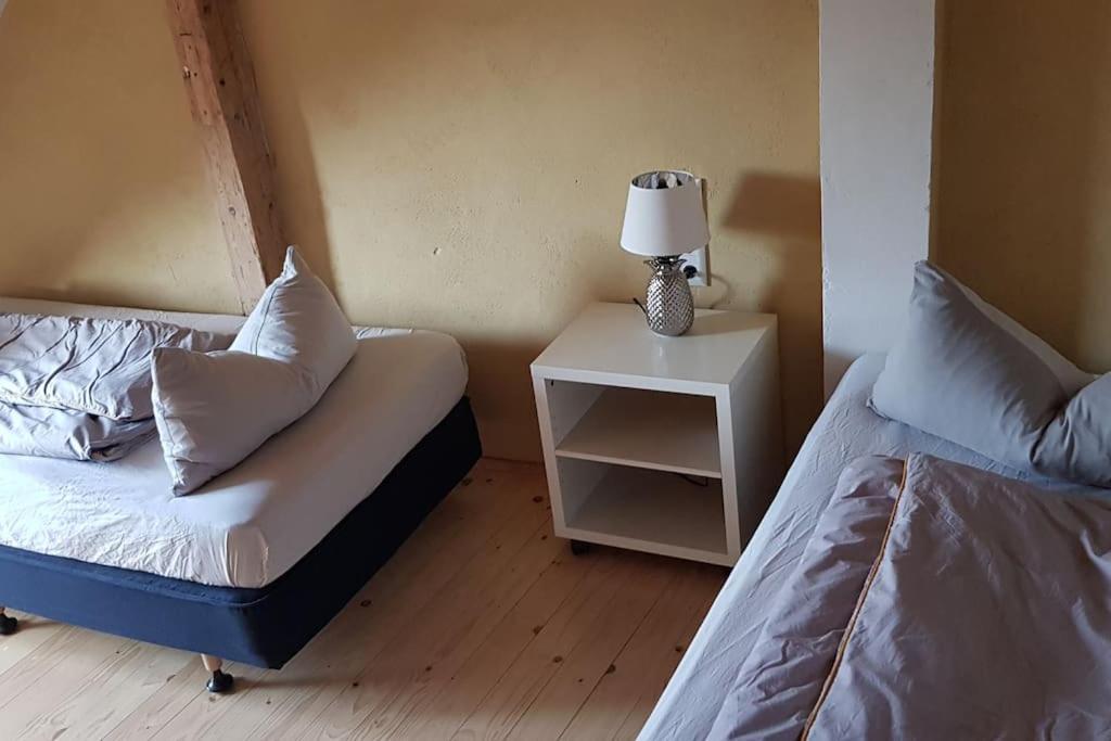 Ferienwohnung Salamander Pirna Bagian luar foto