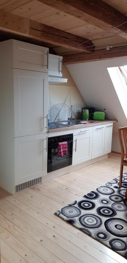 Ferienwohnung Salamander Pirna Bagian luar foto