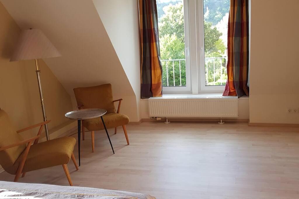 Ferienwohnung Salamander Pirna Bagian luar foto